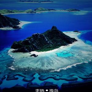动物帮帮忙保卫家园