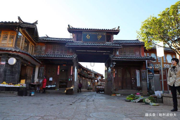 小熊救援